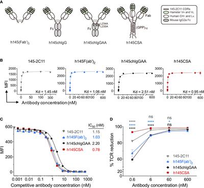 A novel trivalent non-Fc anti-CD3 Collabody preferentially induces Th1 cell apoptosis in vitro and long-lasting remission in recent-onset diabetic NOD mice